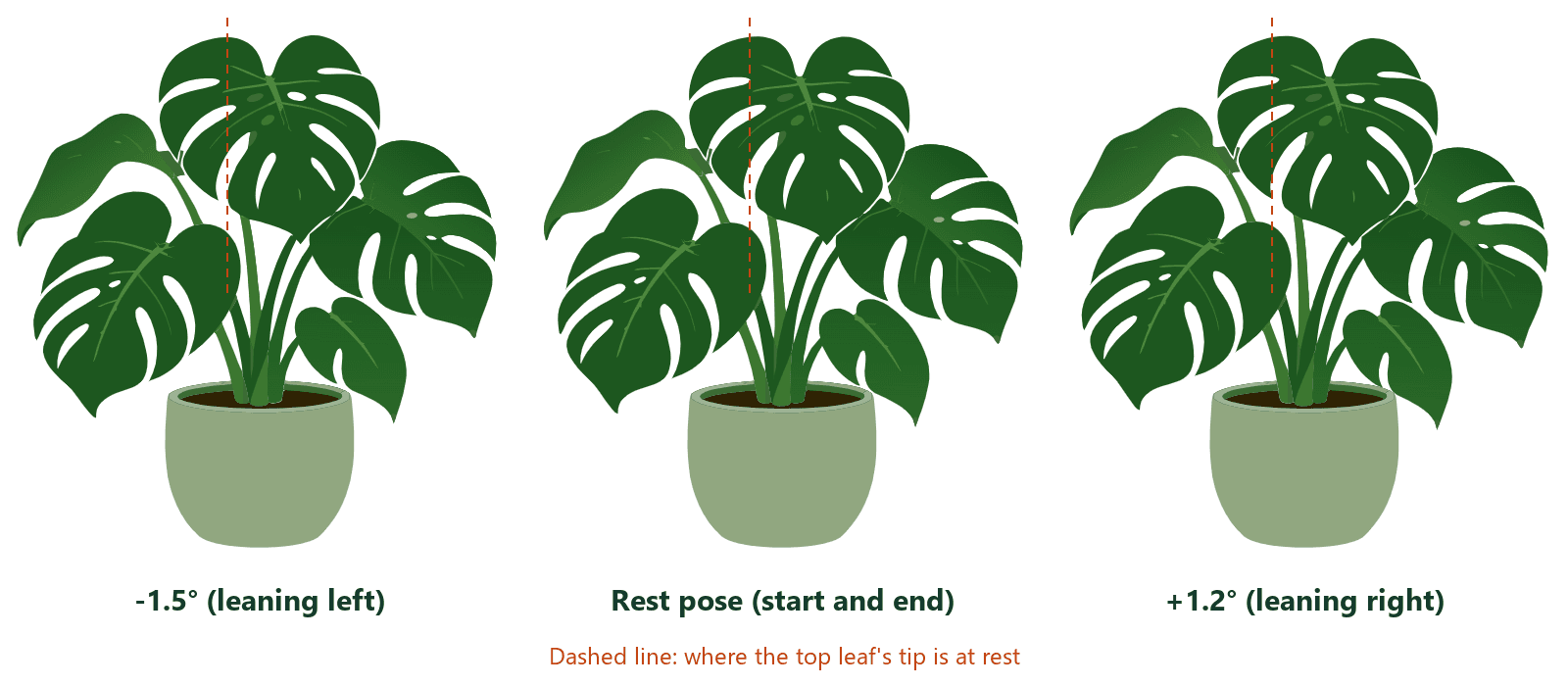The plant in three poses: leaning 1.5 degrees left, at rest, and leaning 1.2 degrees right. A dashed line marks where the top leaf's tip is at rest.
